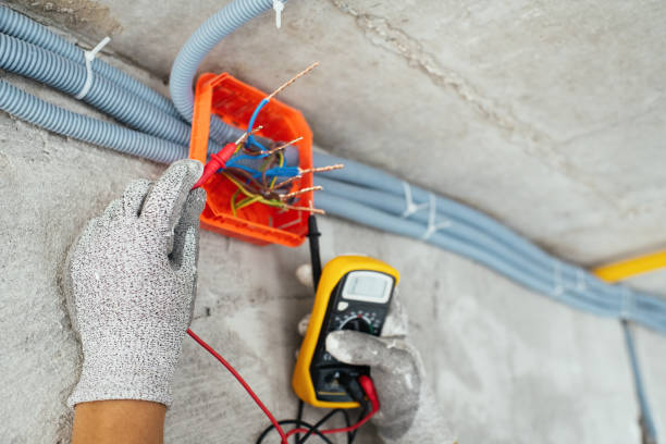 Best Local Electrician Companies  in Shullsburg, WI